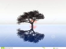 Serenity