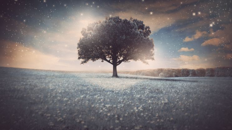 Serenity