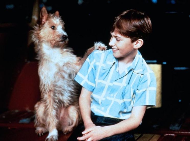 Seth Mumy
