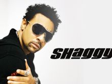 Shaggy