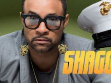 Shaggy