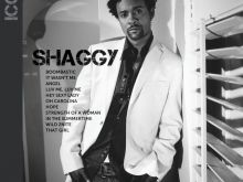 Shaggy