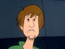 Shaggy