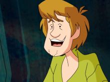 Shaggy