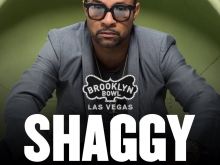 Shaggy