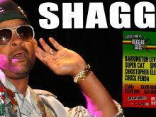 Shaggy