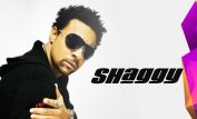 Shaggy