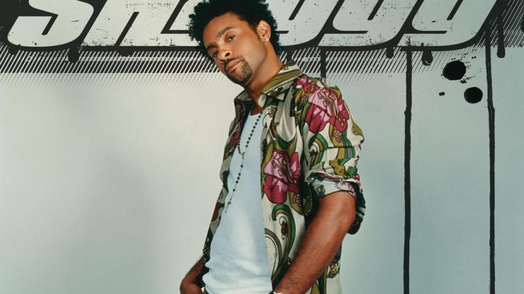 Shaggy