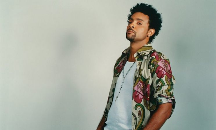 Shaggy