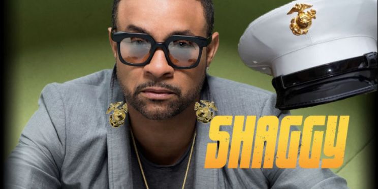 Shaggy