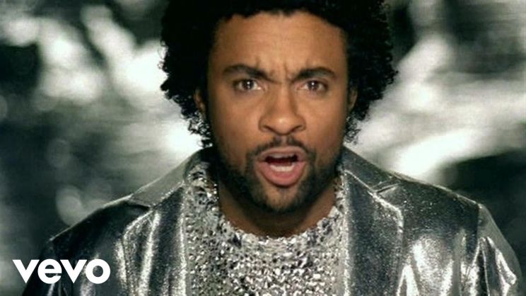 Shaggy