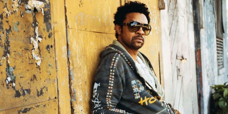 Shaggy