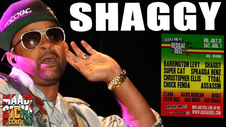 Shaggy