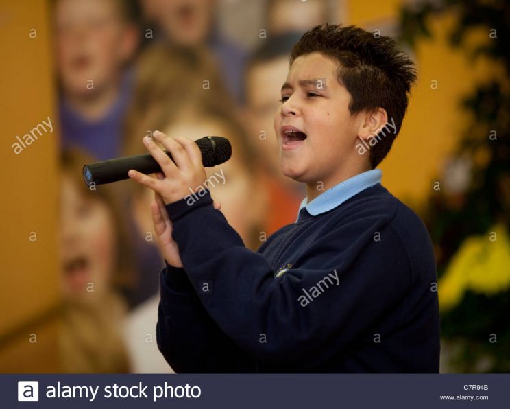 Shaheen Jafargholi