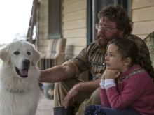 Shane Jacobson