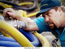 Shane Jacobson