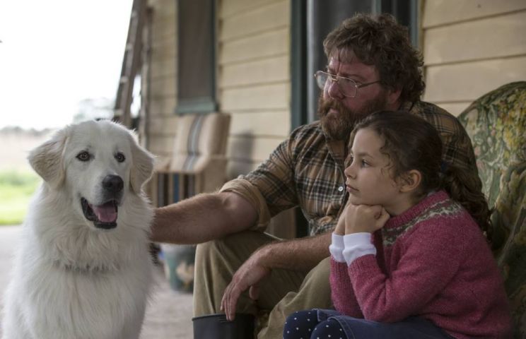 Shane Jacobson