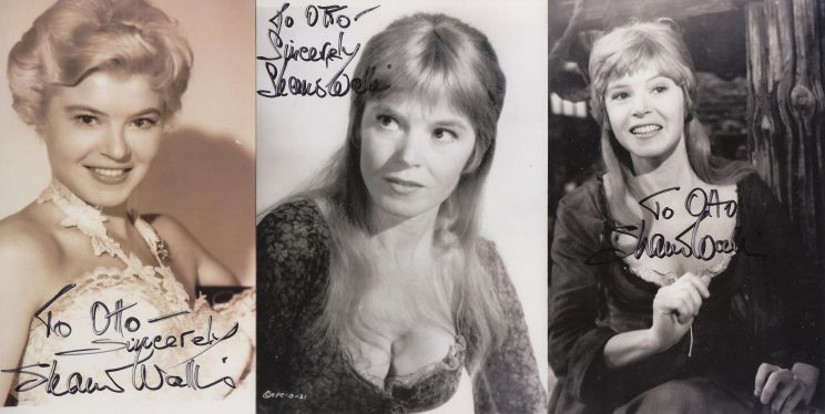 Shani Wallis