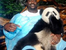 Shaquille O'Neal photo