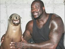 Shaquille O'Neal