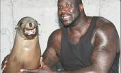 Shaquille O'Neal