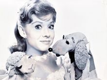 Shari Lewis