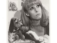 Shari Lewis