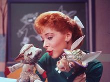 Shari Lewis