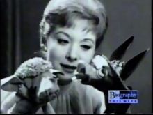 Shari Lewis