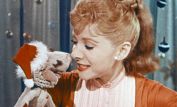 Shari Lewis