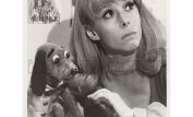 Shari Lewis