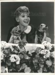 Shari Lewis