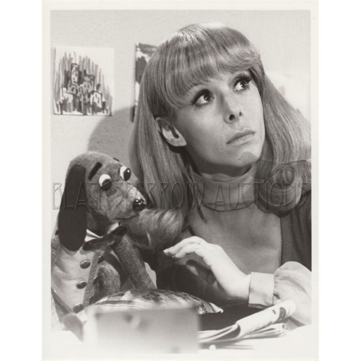 Shari Lewis