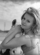 Sharon Farrell