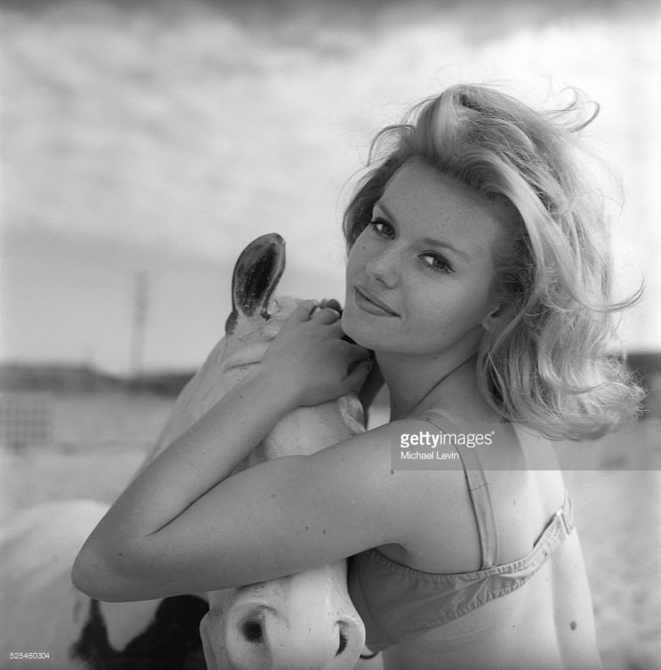 Sharon Farrell