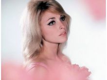 Sharon Tate