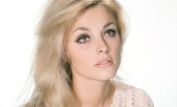 Sharon Tate