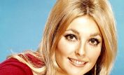 Sharon Tate