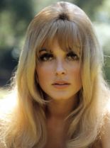 Sharon Tate