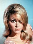 Sharon Tate