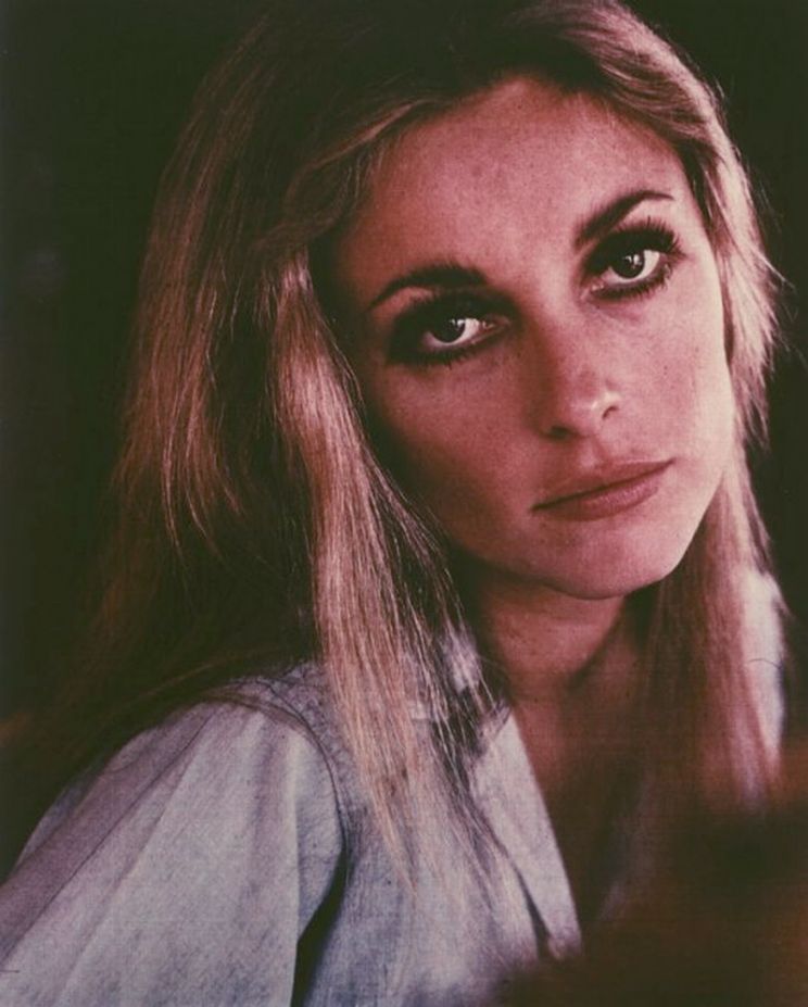 Sharon Tate