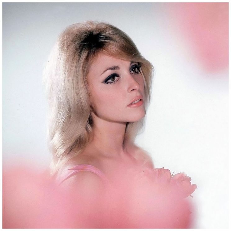 Sharon Tate