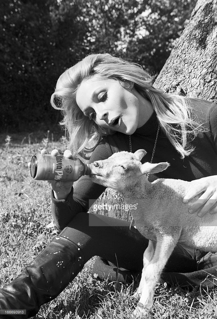 Sharon Tate