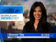 Sharon Tay