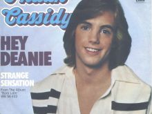 Shaun Cassidy