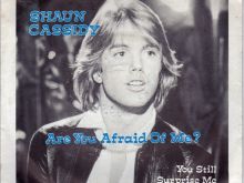 Shaun Cassidy