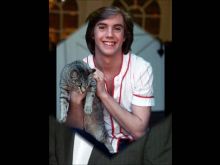 Shaun Cassidy