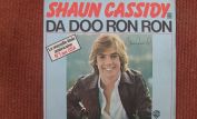 Shaun Cassidy