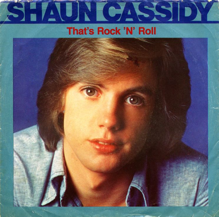 Browse and download High Resolution Shaun Cassidy's Picture