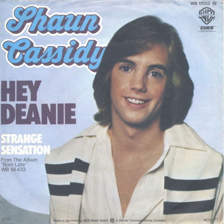 Shaun Cassidy